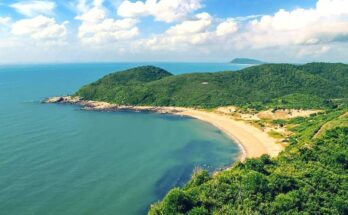Nv toàn cảnh