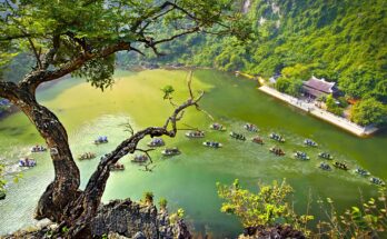 Tràng an sông nước