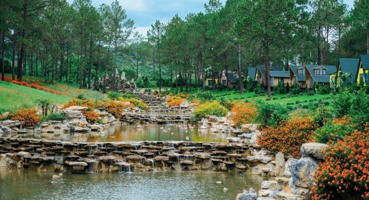 thiết kế cảnh quan Bình Dương thiết kế sân vườn Bình Dương thi công cảnh quan sân vườn đơn vị thi công cây xanh Bình Dương