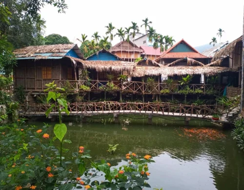 Pom cọong