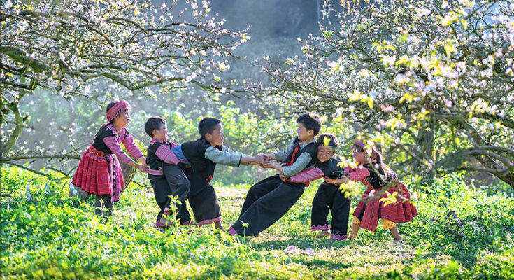 ảnh bìa mộc hâu