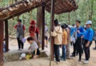 Toàn cảnh