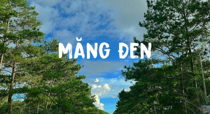 Toàn cảnh