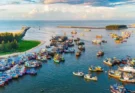 Hồ Tràm