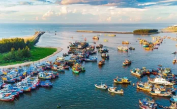 Hồ Tràm